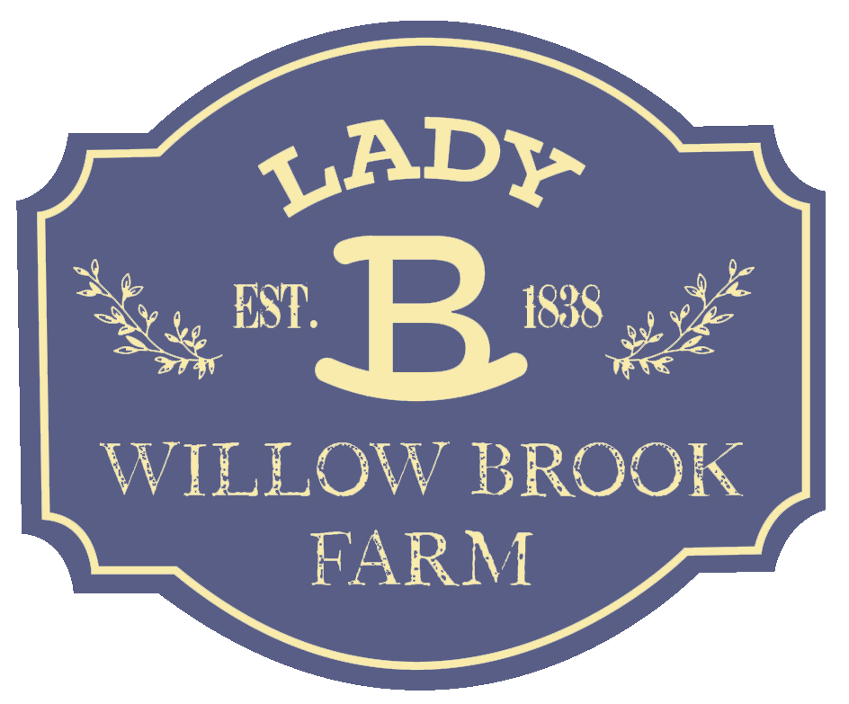 Lady B Willow Brook Farm