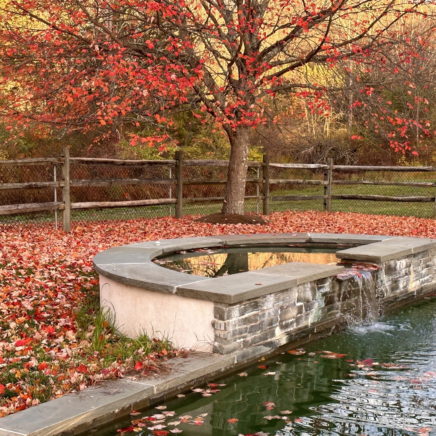 The stone reflecting pool surrounded by autumn red leaves